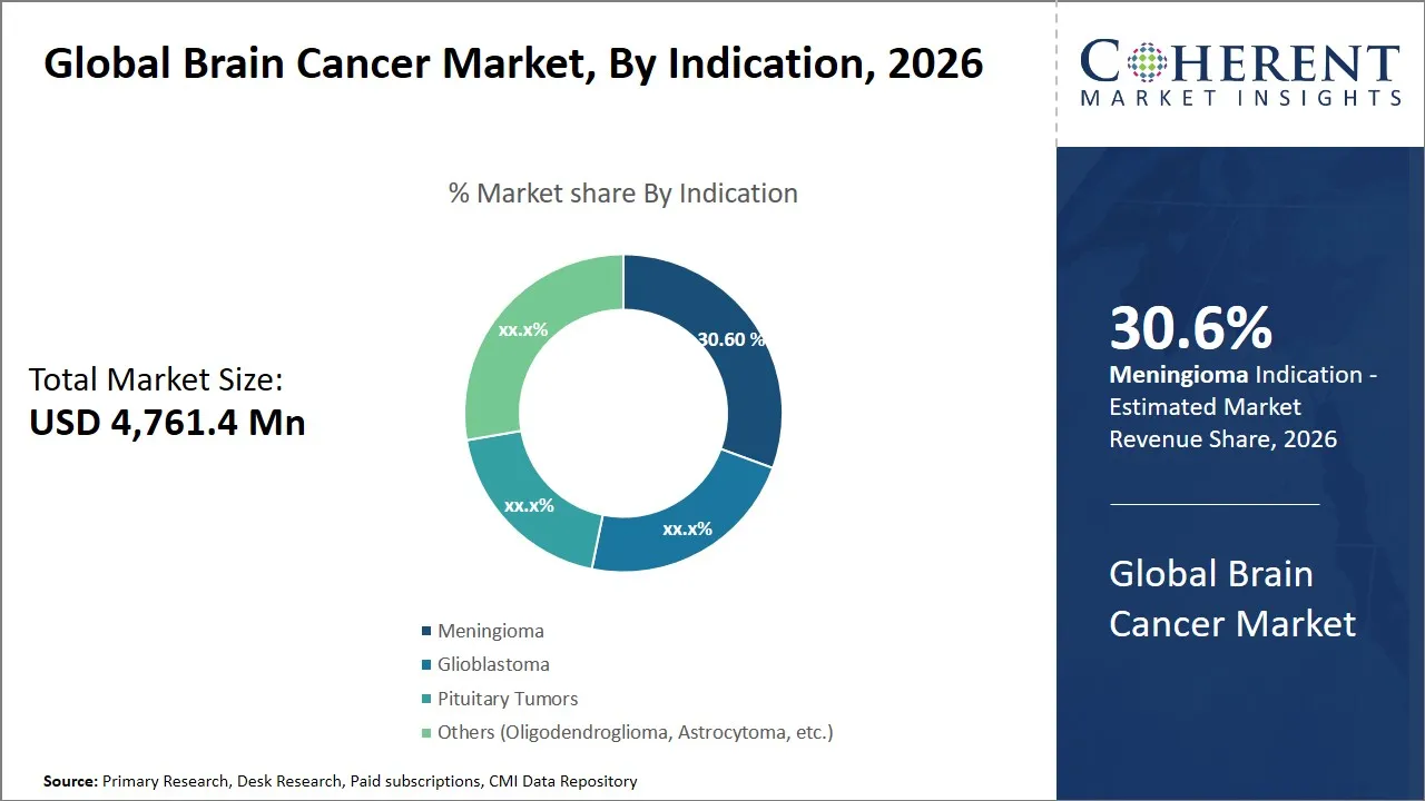 Brain Cancer Market By Indication
